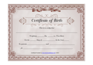 Burgundy certificate of birth burgundy certificate of birth