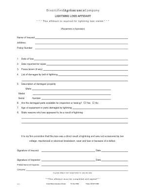 Lightning Loss Affidavit