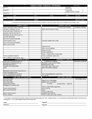 AGRICULTURAL FINANCIAL STATEMENT
