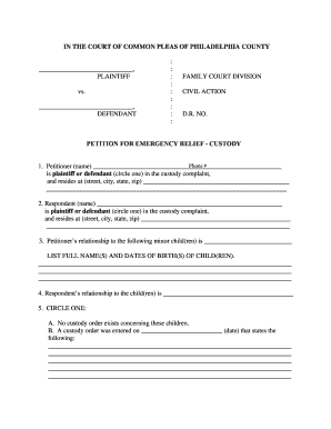 Petition for Emergency Relief - Custody