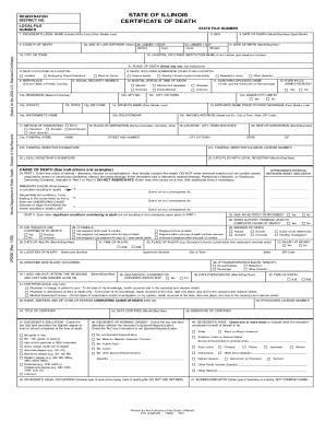STATE OF ILLINOIS CERTIFICATE OF DEATH - Fill and Sign