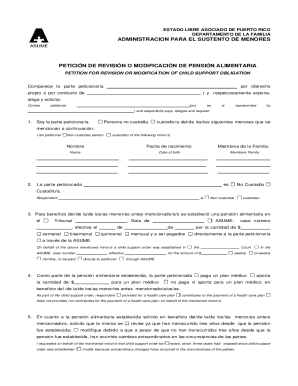 Puerto Rico Child Support Modification Petition